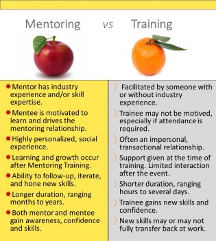The Difference Between Mentoring & Training