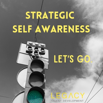 Gain Strategic Self Awareness this summer!